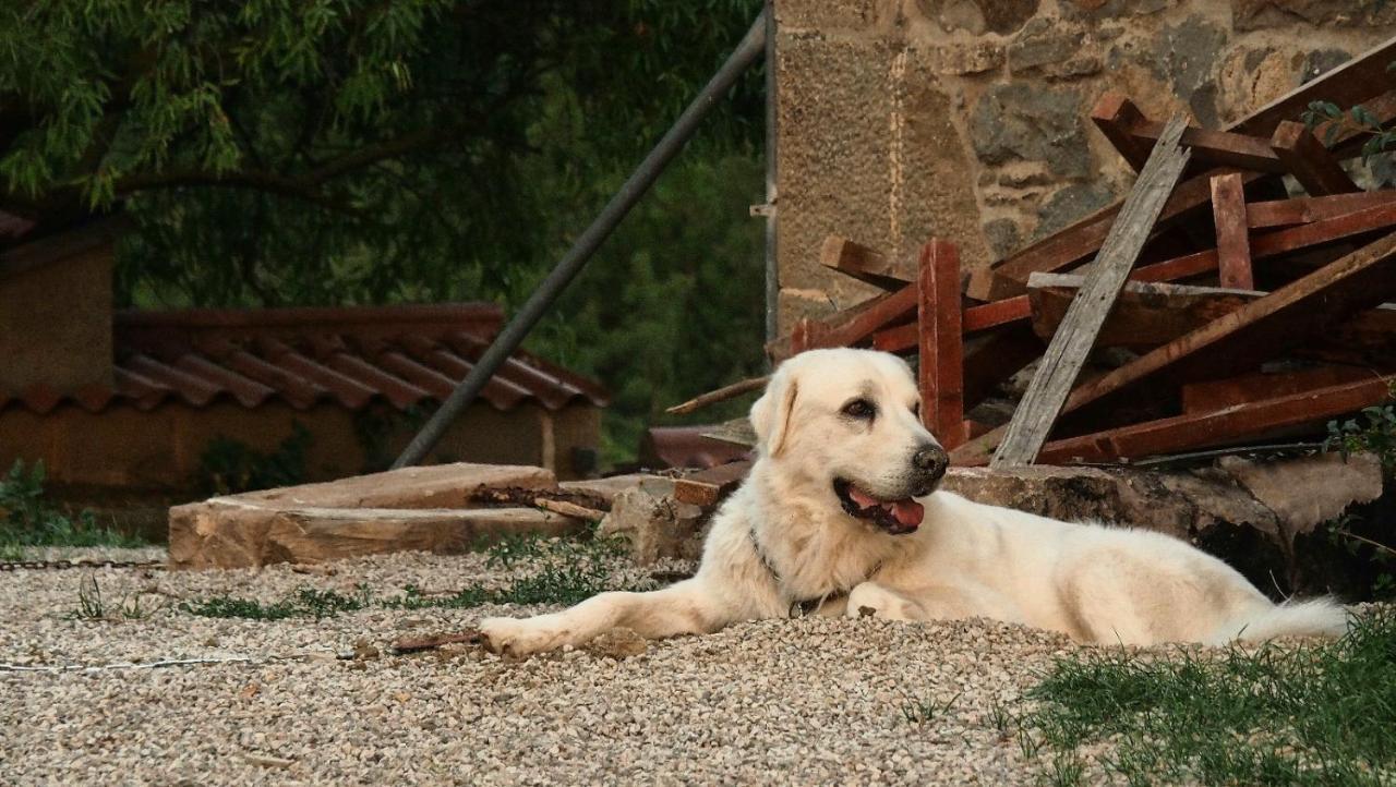 Masia La Clariana Castelltallat Esterno foto